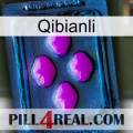 Qibianli 04